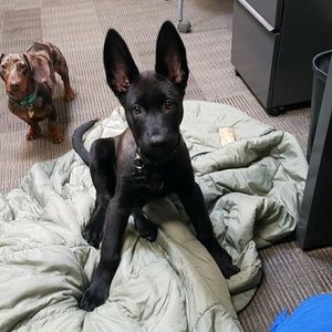 Meet your Posher, Karen